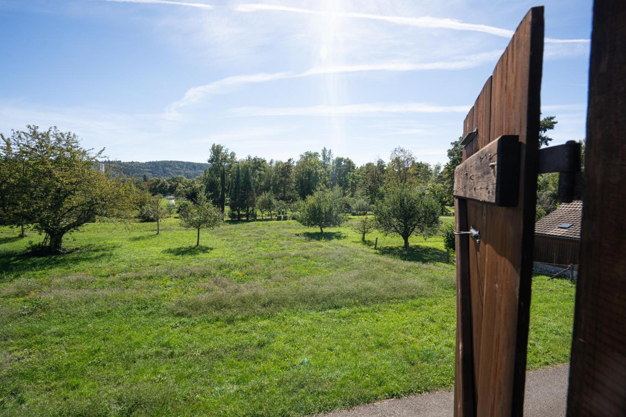 Tiny House Chez Claudine - Relaxen, Workspace, Naehe Thermen, Netflix, Free Parking & Wifi Бругг Экстерьер фото